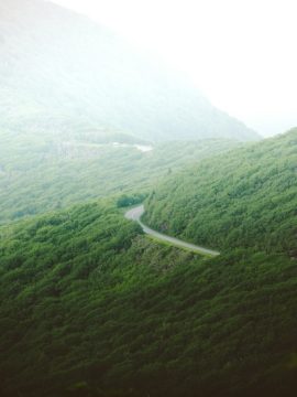 Asheville in one day trip