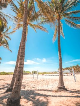 Miami in one day trip