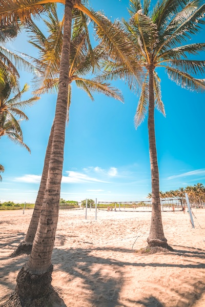 Miami in one day trip