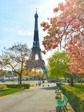 Paris in one day trip