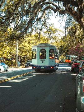 One Day In Savannah