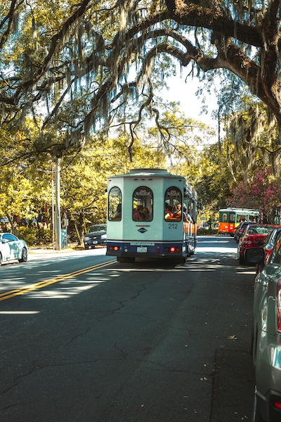 Savannah in one day trip