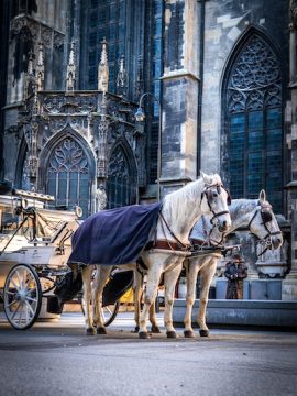 Vienna in one day trip