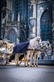 Vienna in one day trip