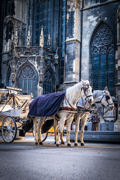 Vienna in one day trip