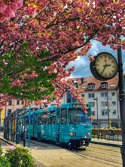 Frankfurt during one day travel